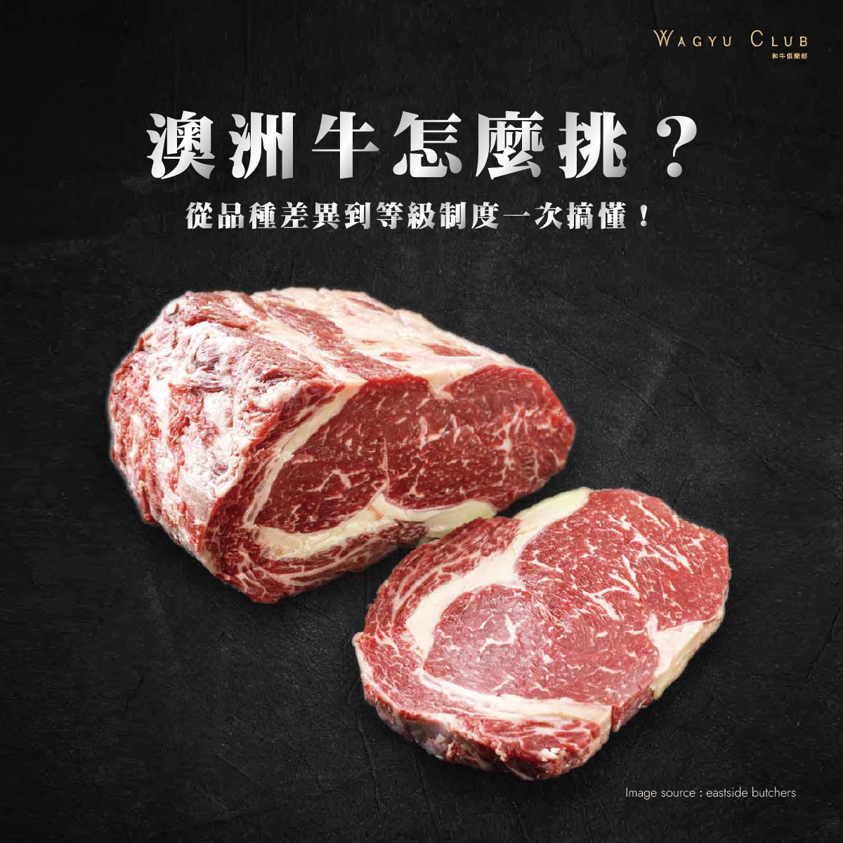 第五篇澳洲牛怎麼挑？_工作區域 1