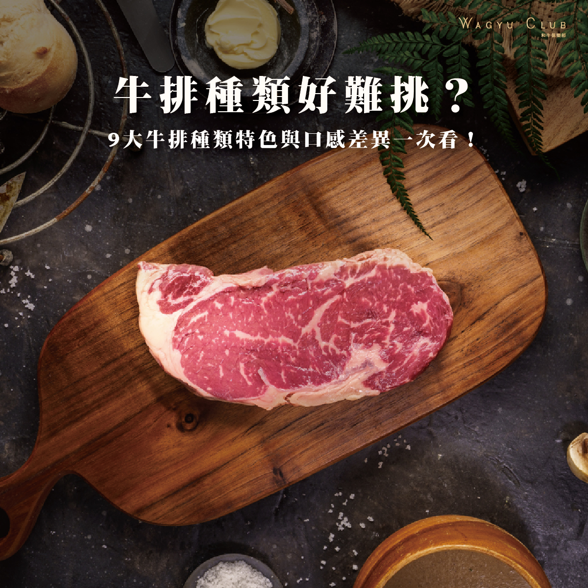 第十篇【牛排種類】-01